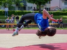 web_eva7391