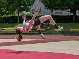 web_eva7439